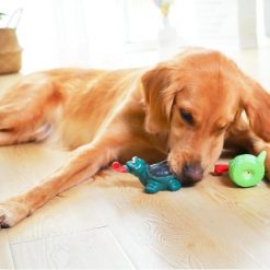Best Squeaky Interactive Dog Toys (Non-Toxic / Non-Swallow-able) 18