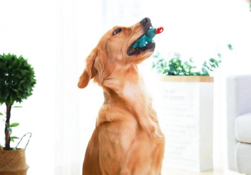 Best Squeaky Interactive Dog Toys (Non-Toxic / Non-Swallow-able) 9