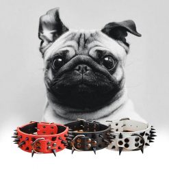 Durable High Quality Spikes Leather Dog Collar (Several Options) 25