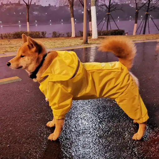 Best Waterproof Raincoat For Dogs - 4 color options 12