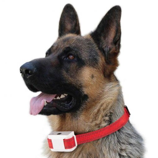 Rechargeable Dog Collar