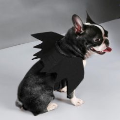 Cool Pet Black Bat Costume For Halloween Party (Dogs/Cats) 11