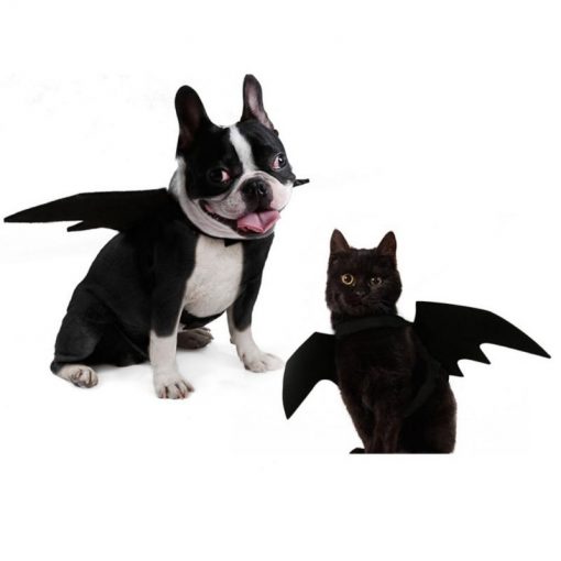 Cool Pet Black Bat Costume For Halloween Party (Dogs/Cats) 4