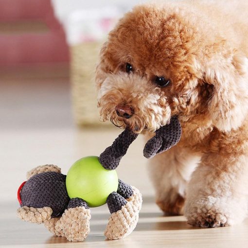 Best Durable Chew Toys For Dogs (Different Shapes) 1