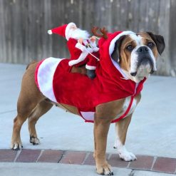 Santa Dog Costumes 10