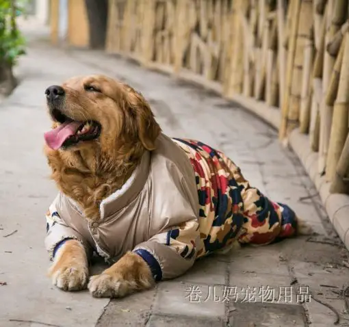 High Quality Satin Winter Sweater For Dog (9 Different Sizes) 10