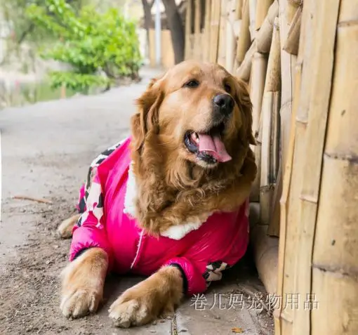 High Quality Satin Winter Sweater For Dog (9 Different Sizes) 4