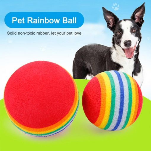 Colorful Interactive Chew Toy For Pets Training (1 or 3 pcs option) 1