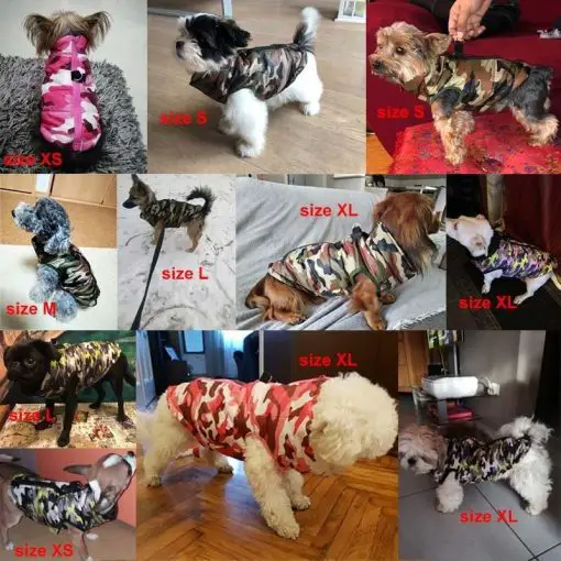 Most Affordable Waterproof Camouflage Dog Jacket For Winter 10