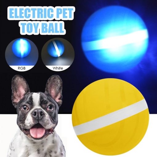 interactive dog toy
