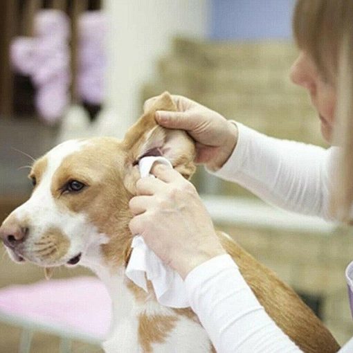 Best Pet Ear Hair Remover - Easy Hair Removing Powder 10