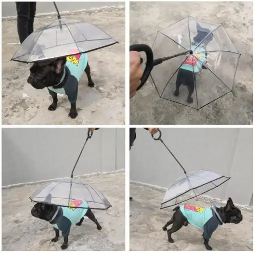 Leash Dog Umbrella