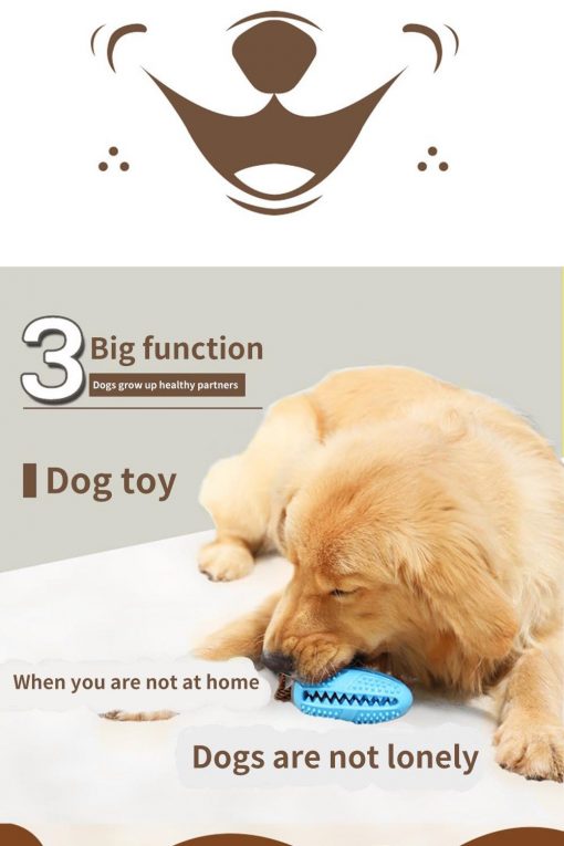 3 In 1 Dog Toothbrush + Chew Toy + Molar Training Toy 3