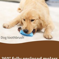 3 In 1 Dog Toothbrush + Chew Toy + Molar Training Toy 30