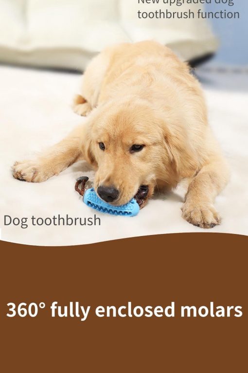 3 In 1 Dog Toothbrush + Chew Toy + Molar Training Toy 7