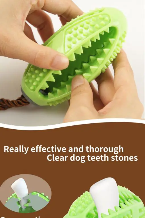 3 In 1 Dog Toothbrush + Chew Toy + Molar Training Toy 21