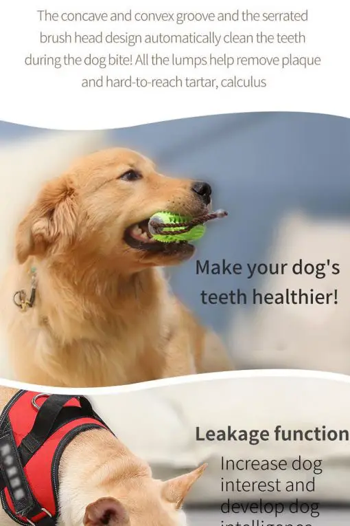 3 In 1 Dog Toothbrush + Chew Toy + Molar Training Toy 24
