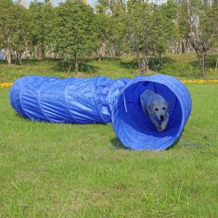 Dogs Tunnel Toy