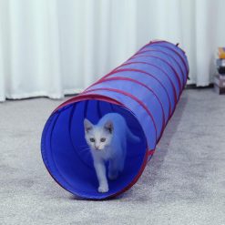 Cat Tunnel 