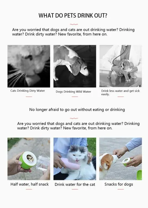 2020 Best Portable Pet Food & Water Storage (Leak-proof) 6