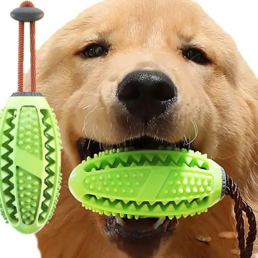 3 In 1 Dog Toothbrush + Chew Toy + Molar Training Toy 1
