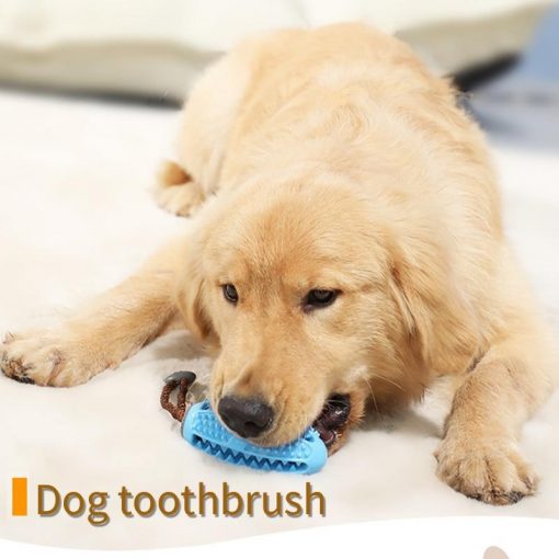 3 In 1 Dog Toothbrush + Chew Toy + Molar Training Toy 20