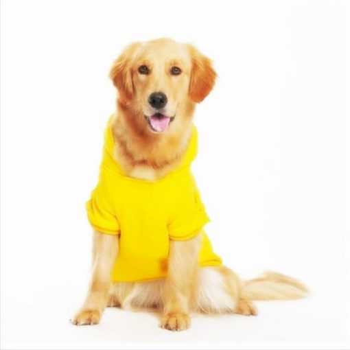 Very Thick Dog Hoodie For Warmer Winter (All Sizes/4 color options) 4