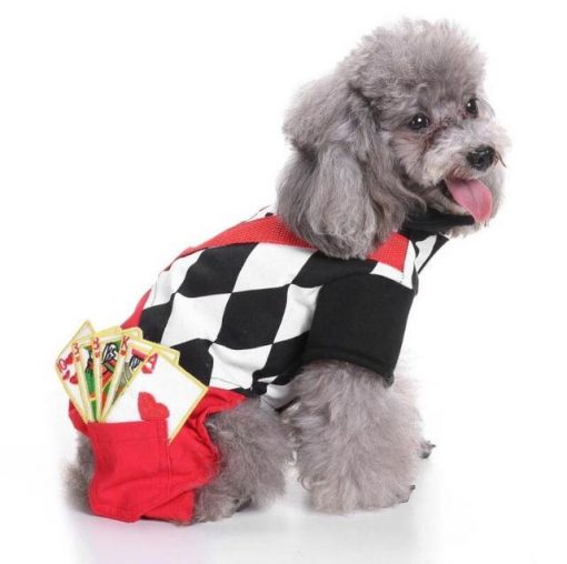 Halloween Pet Dog Clothes for Dog Christmas Costumes for Chihuahua Winter Dog Coat Pet Clothing for Small Dogs Cats Clothes 1