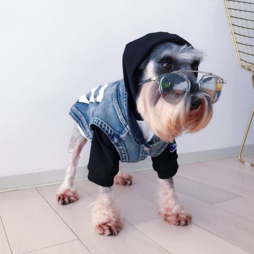 HQ Fashionable Denim For Dogs (4 different sizes) 1