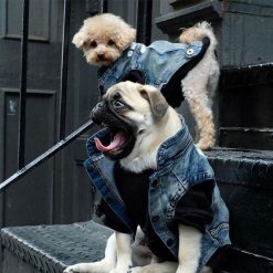 HQ Fashionable Denim For Dogs (4 different sizes) 6