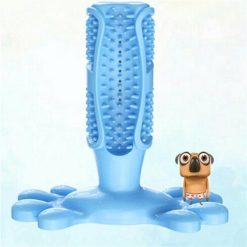 dog toothbrush blue