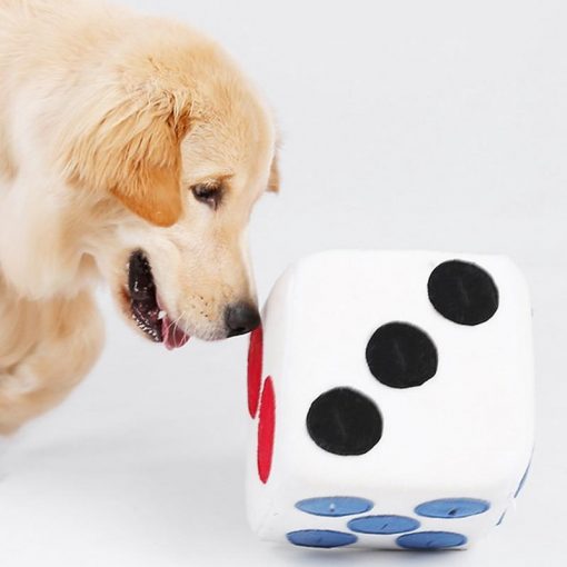 dog feeder puzzle