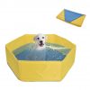 the dog pool