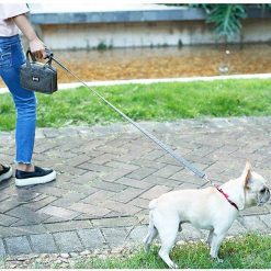 Dog leash