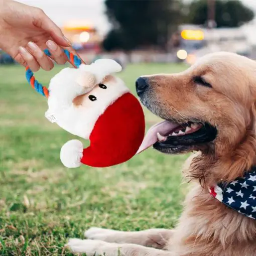 Best 2020 Christmas Chew Toy For Your Dog (Christmas Gift) 1