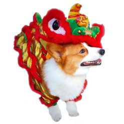 Colorful Chinese Lion Dance Style Dog Costume (small/medium dogs) 9
