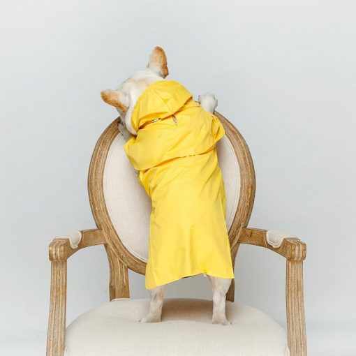 Durable Simple Yellow Raincoat For Dogs (waterproof/6 sizes) 1