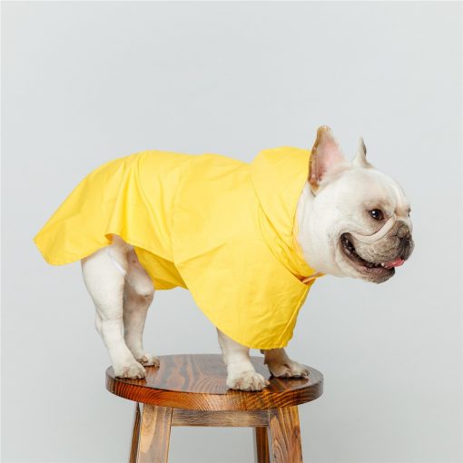 Durable Simple Yellow Raincoat For Dogs (waterproof/6 sizes) 4