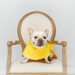 Durable Simple Yellow Raincoat For Dogs (waterproof/6 sizes) 6