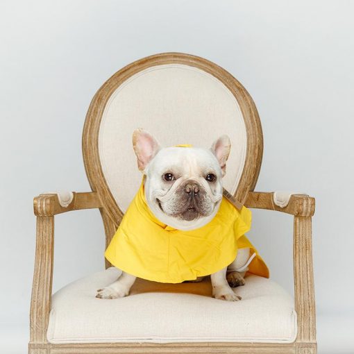 Durable Simple Yellow Raincoat For Dogs (waterproof/6 sizes) 2