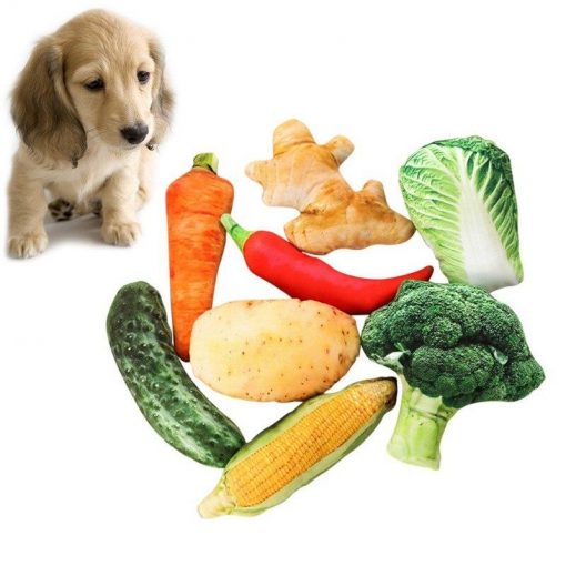 Best Food Shapes Chew Toys For Dogs (multiple options to choose from) 1