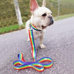 Stylish & Colorful Strong Adjustable Dog Collar + Leash (optional) 19