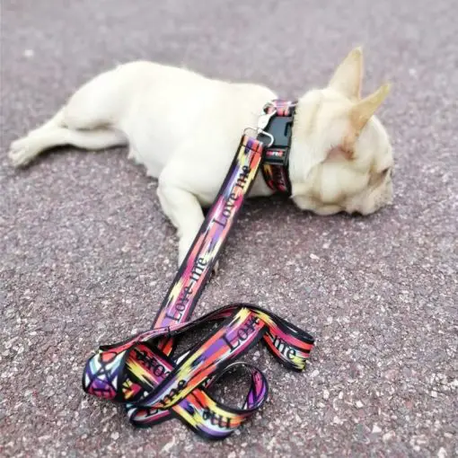 Stylish & Colorful Strong Adjustable Dog Collar + Leash (optional) 9