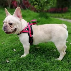 Light & Durable Adjustable Dog Harness For Medium Dogs 8
