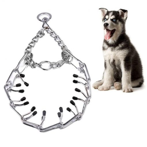 Best Walking Training Dog Collar - Durable & Strong Metal 1