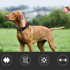 2020 New Dog Collar + Telescopic Retractable Leash (Durable/adjustable) 13