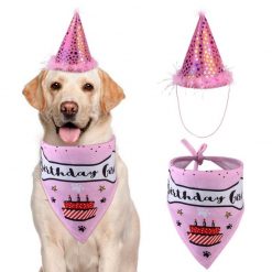 The Best Birthday Celebration Kit For Pets - Scarf + Hat For Dogs & Cats 11