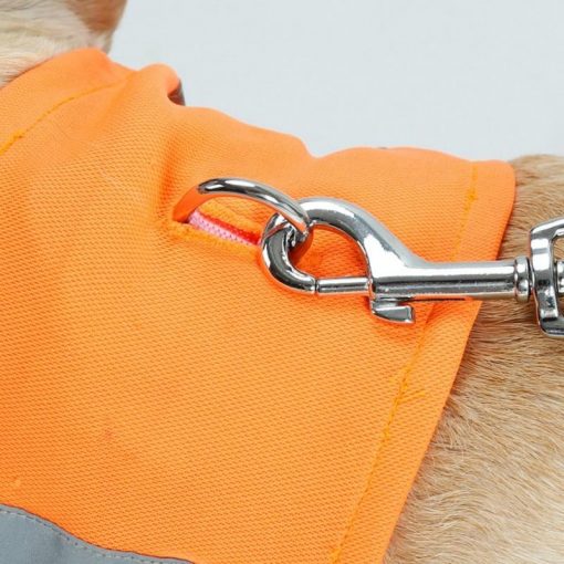 Best 2 in 1 Collar + Soft Neck Scarf For Dog (soft nylon/stretchable) 3
