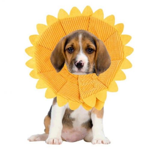 Soft & Stylish Anti Biting Dog Neck Circle - Sunflower Shape 1