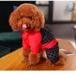 Super Soft Classic British Style Winter Coat For Small and Medium Dogs 20